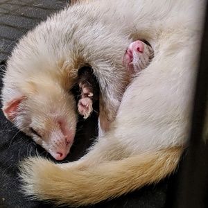 Meet your Posher, Jonathan